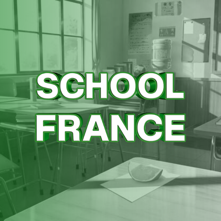 School France Logo